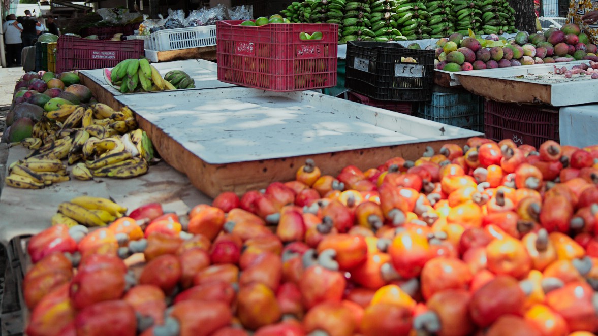 a foto mostra uma banca de verduras e legumes numa feira livre